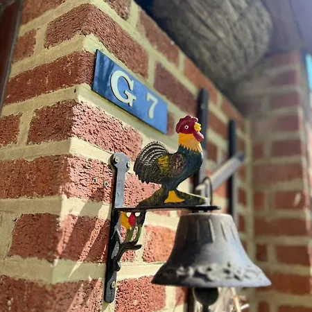 La D'helie - En Pleine Foret - Domaine Du Bonsoy