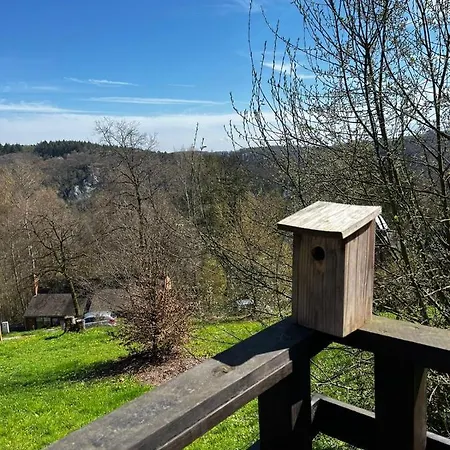 Vakantiehuis La D'helie - En Pleine Foret - Domaine Du Bonsoy