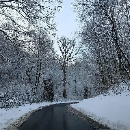 La D'helie - En Pleine Foret - Domaine Du Bonsoy 度假居 Hastiere-par-dela